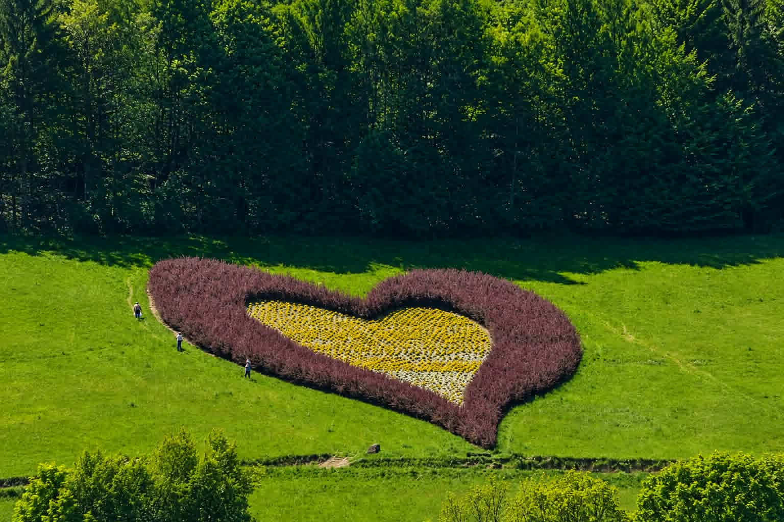 Bieszczady - serce z kwiatów